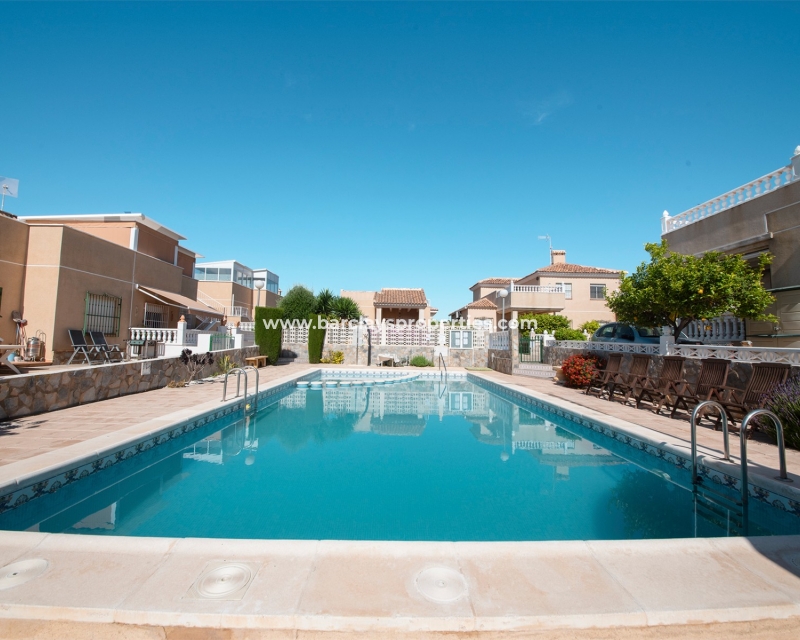 Communal Pool - Semi-Detached Property For Sale In La Marina Spain 