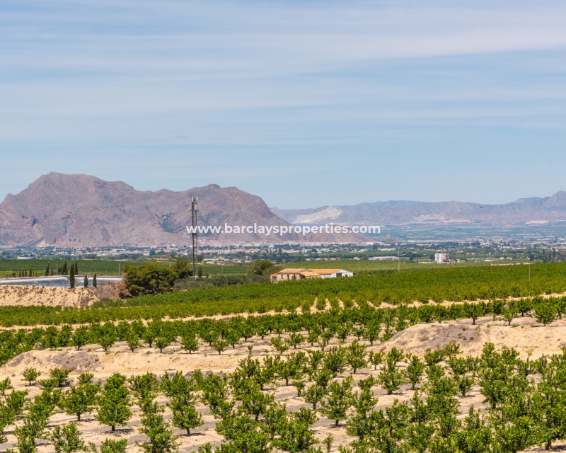 Nouvelle construction - Nieuwbouw - La Finca Golf