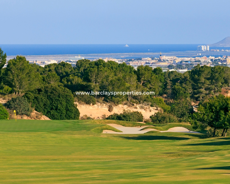 Nouvelle construction - Nieuwbouw - Pilar de la Horadada - Lo Romero Golf