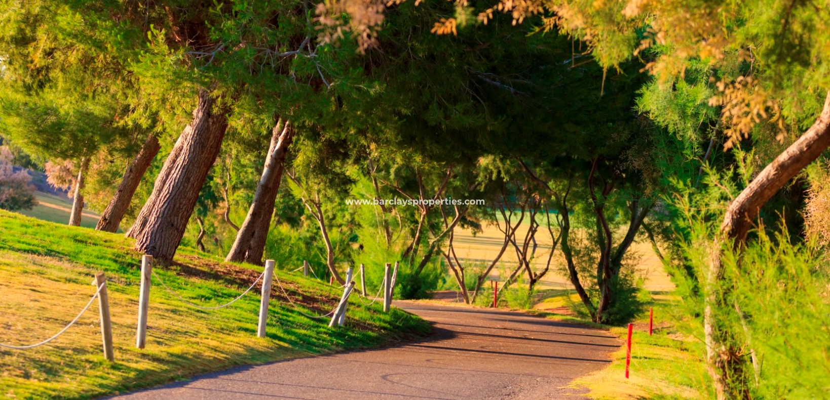 Nouvelle construction - Nieuwbouw - Pilar de la Horadada - Lo Romero Golf