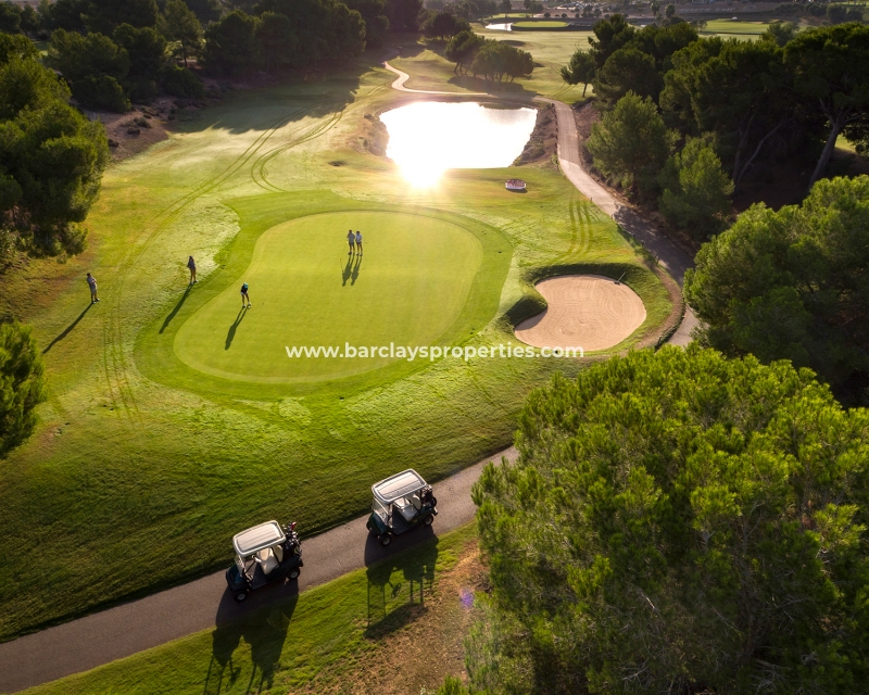 Nouvelle construction - Nieuwbouw - Pilar de la Horadada - Lo Romero Golf