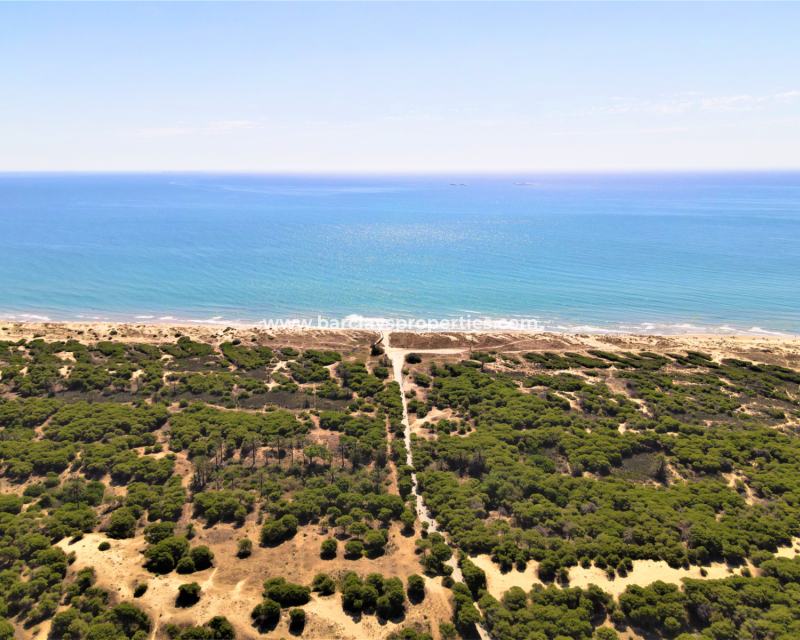 Nueva construcción  - Apartmento - El Pinet Beach