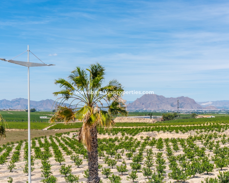 Nueva construcción  - Obra Nueva - La Finca Golf