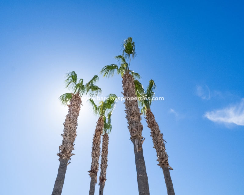 Resale - Detached - Urb. La Marina