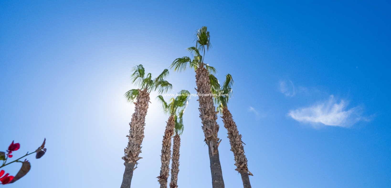 Resale - Freistendhe Villa - Urb. La Marina