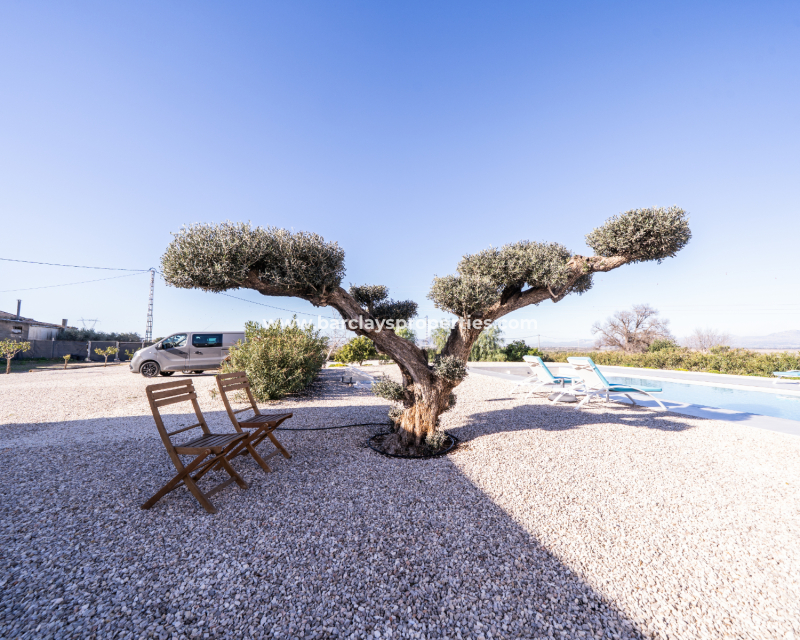 Resale - Fristaende Villa  - Urb. La Marina