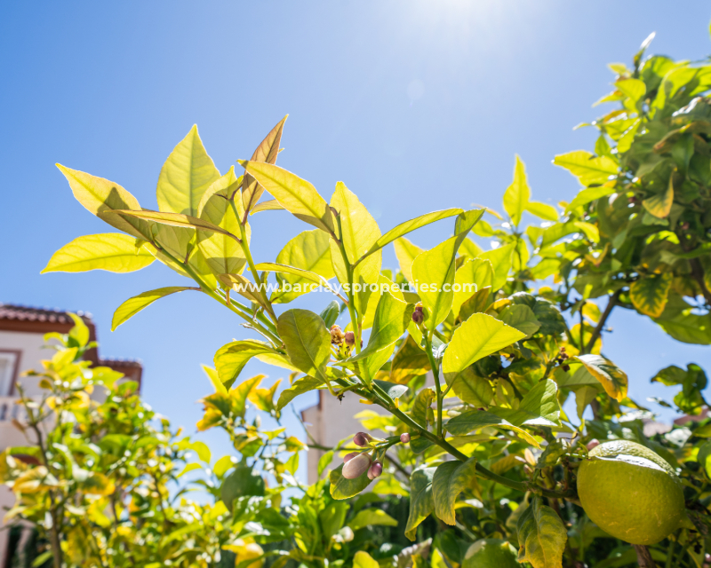 Resale - Quad - Urb. La Marina