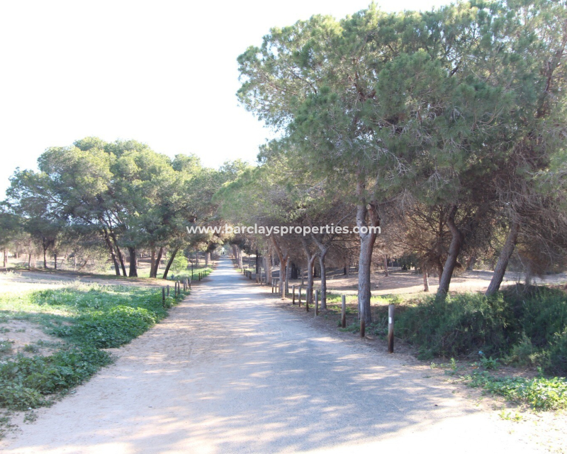 Resale - Reihenhaus - Guardamar del Segura - Urb Buenavista