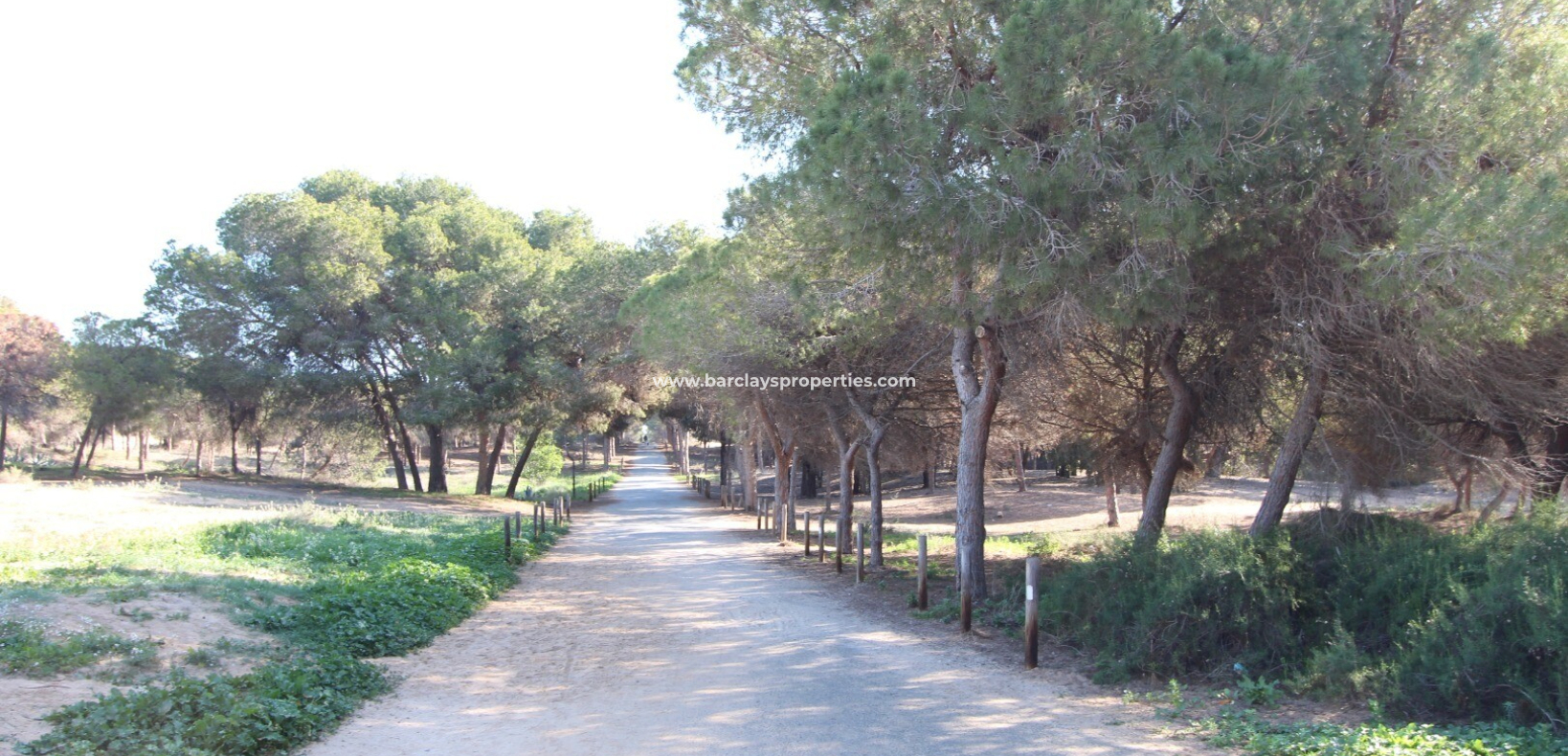 Resale - Reihenhaus - Guardamar del Segura - Urb Buenavista