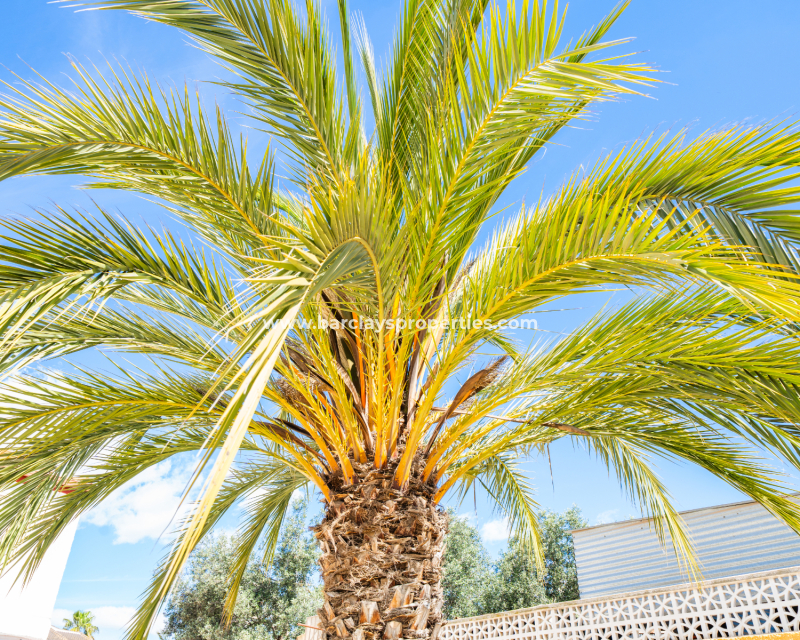 Reventa - Chalet Independiente - Urb. La Marina