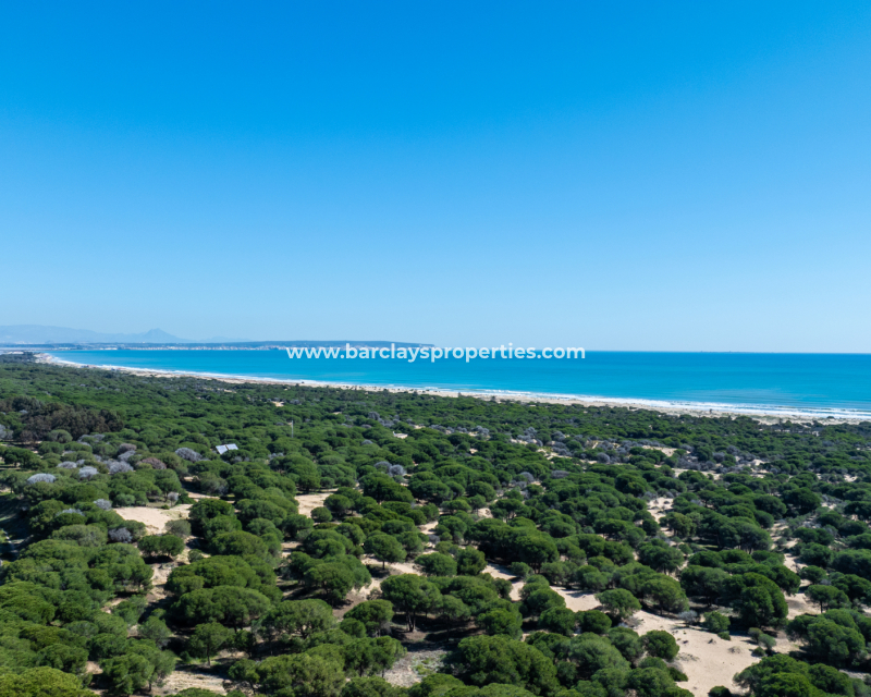 Revente - Maison Individuelle - Guardamar del Segura - Urb Costabella
