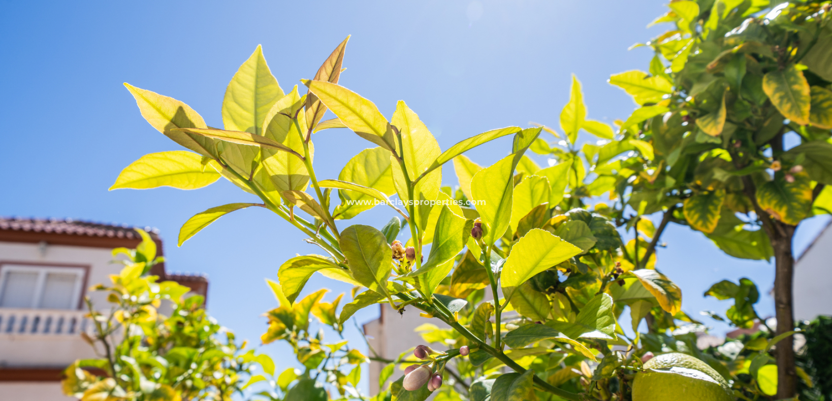 Venta - Quad - Urb. La Marina