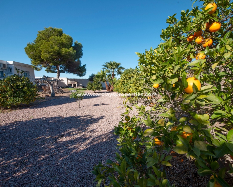 Wederverkoop - Vrijstaande Villa - El Pinet Beach