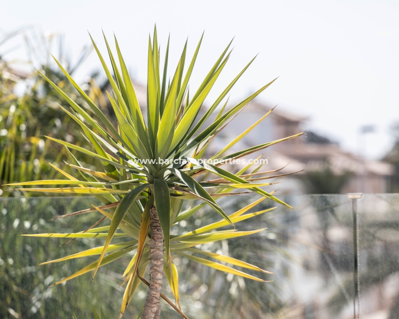Wederverkoop - Vrijstaande Villa - El Pinet Beach