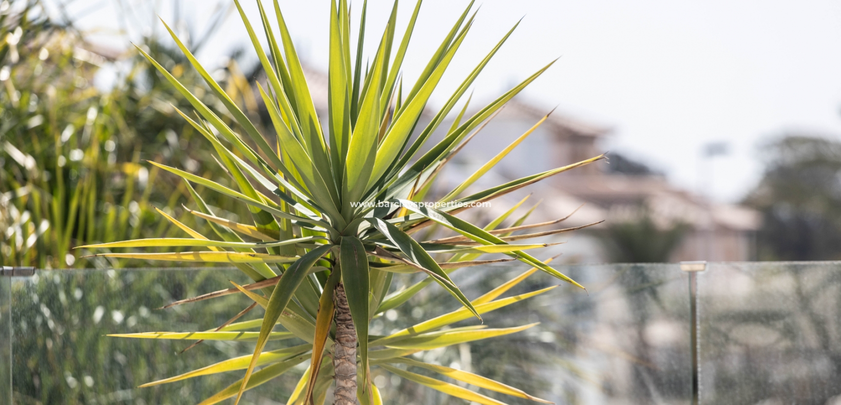 Wederverkoop - Vrijstaande Villa - El Pinet Beach
