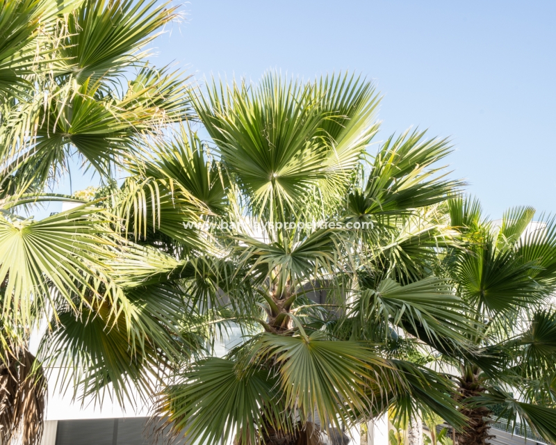 Wederverkoop - Vrijstaande Villa - El Pinet Beach