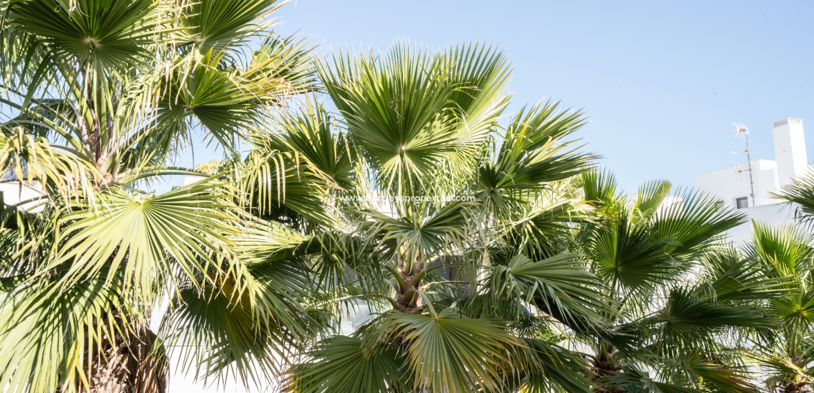 Wederverkoop - Vrijstaande Villa - El Pinet Beach