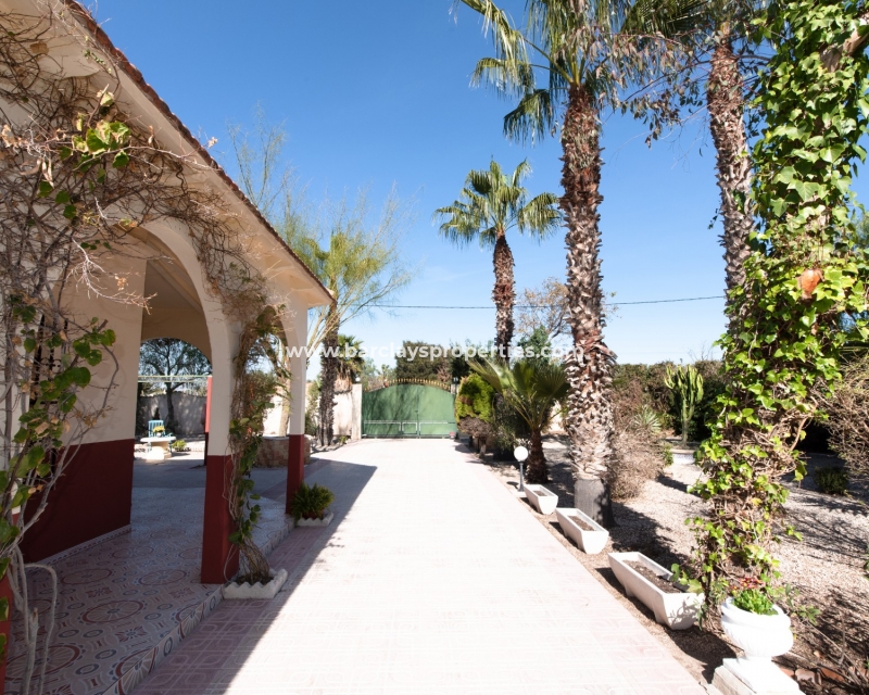 Wederverkoop - Vrijstaande Villa - Partida Daimes - Elche