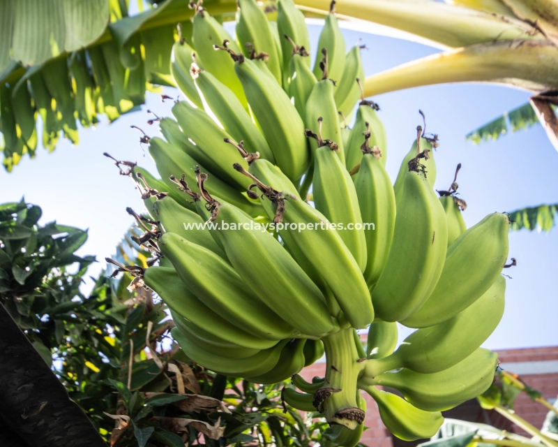 Wederverkoop - Vrijstaande Villa - Urb. El Oasis - La Marina