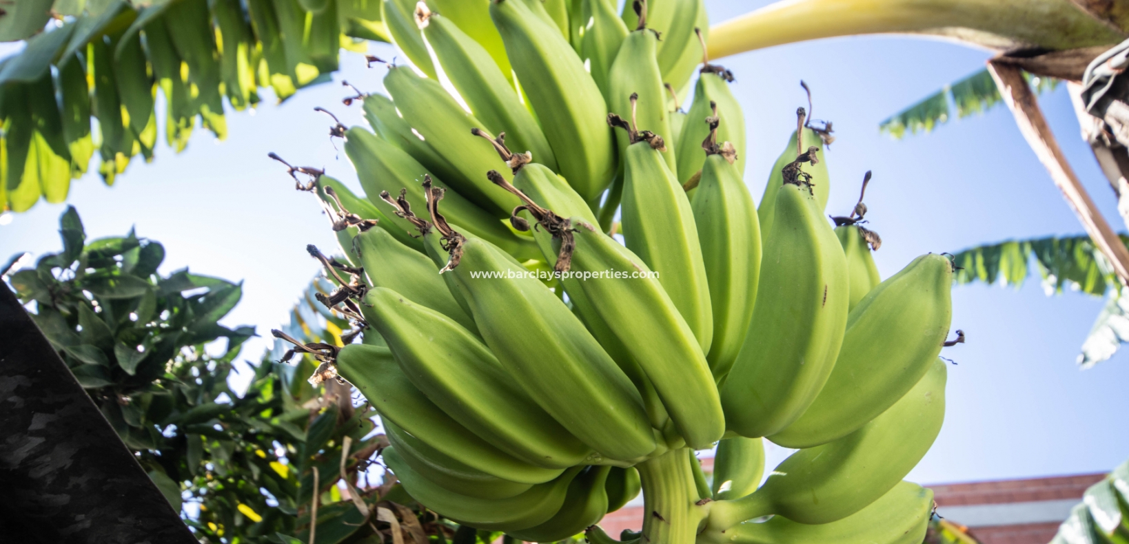 Wederverkoop - Vrijstaande Villa - Urb. El Oasis - La Marina