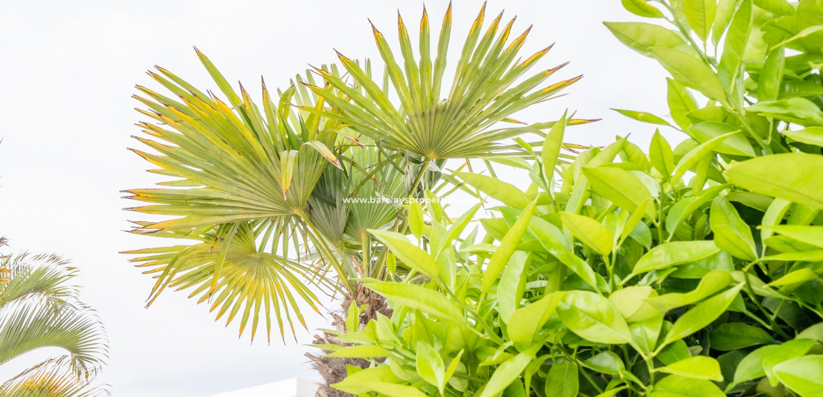 Wederverkoop - Vrijstaande Villa - Urb. El Oasis - La Marina