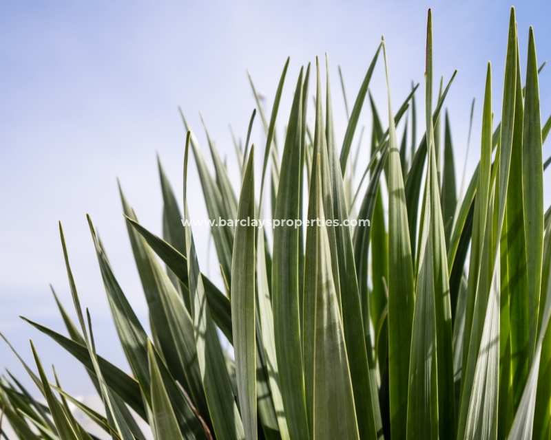 Wederverkoop - Vrijstaande Villa - Urb. El Oasis - La Marina