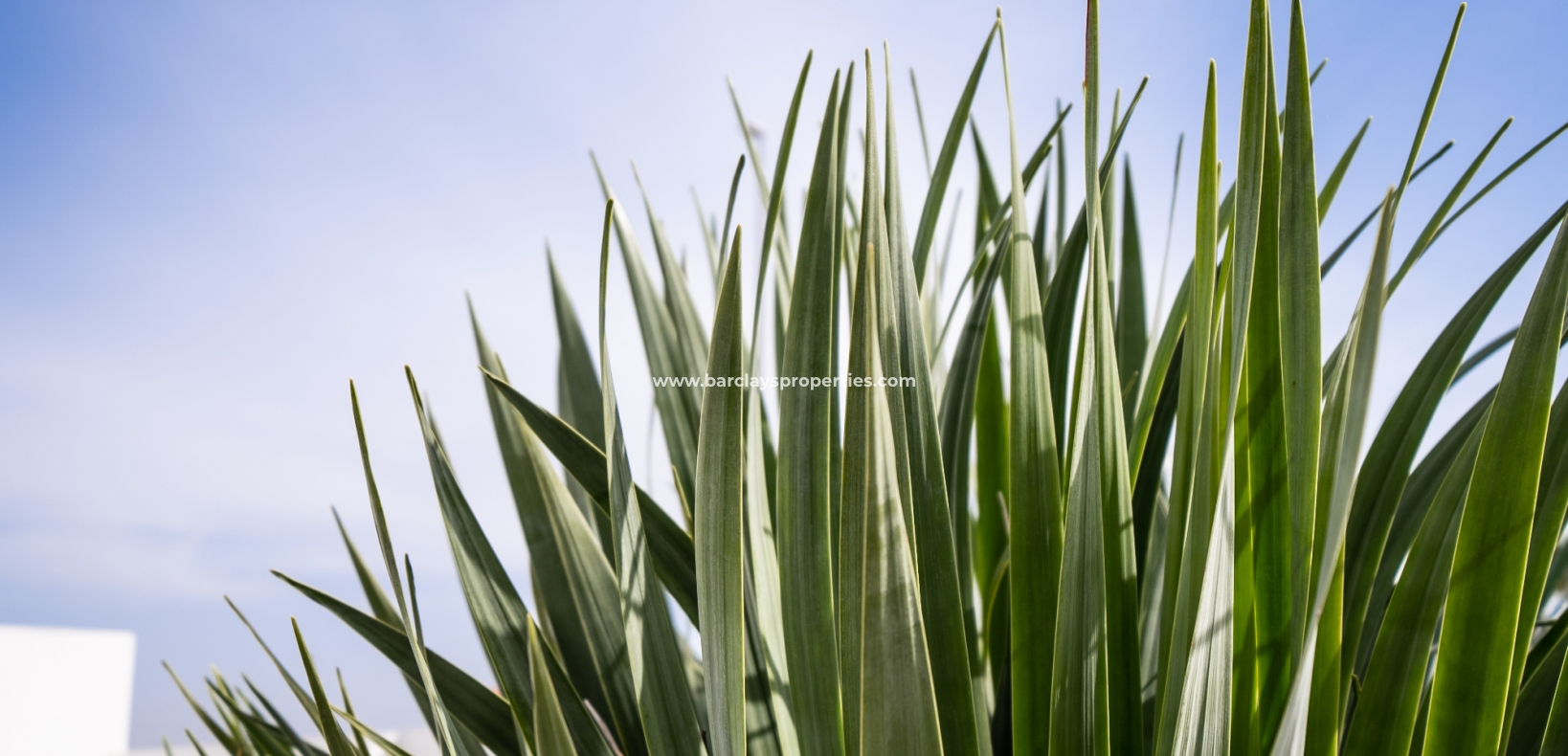 Wederverkoop - Vrijstaande Villa - Urb. El Oasis - La Marina