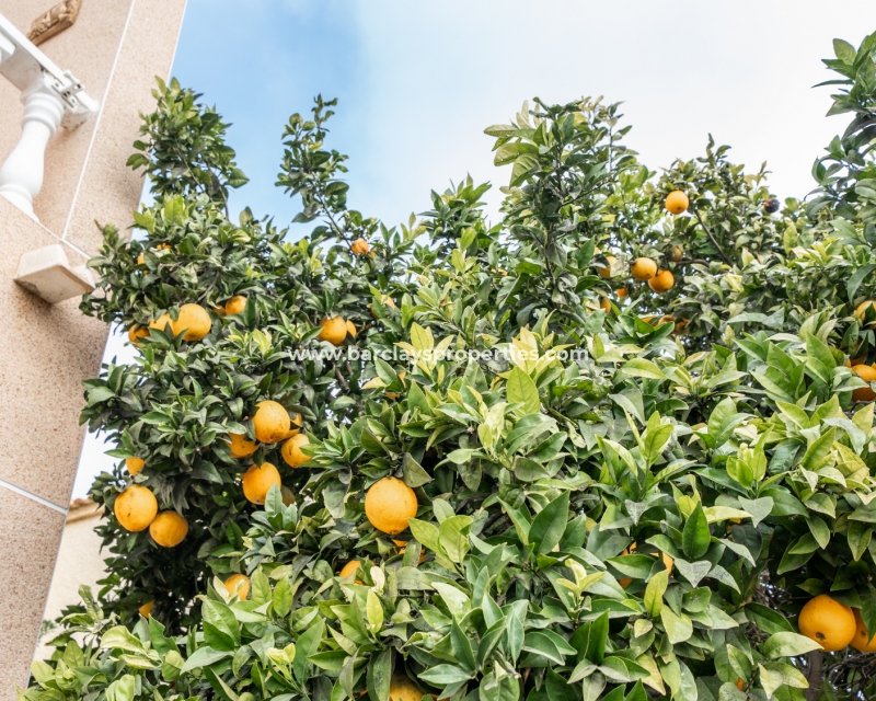 Wederverkoop - Vrijstaande Villa - Urb. La Marina