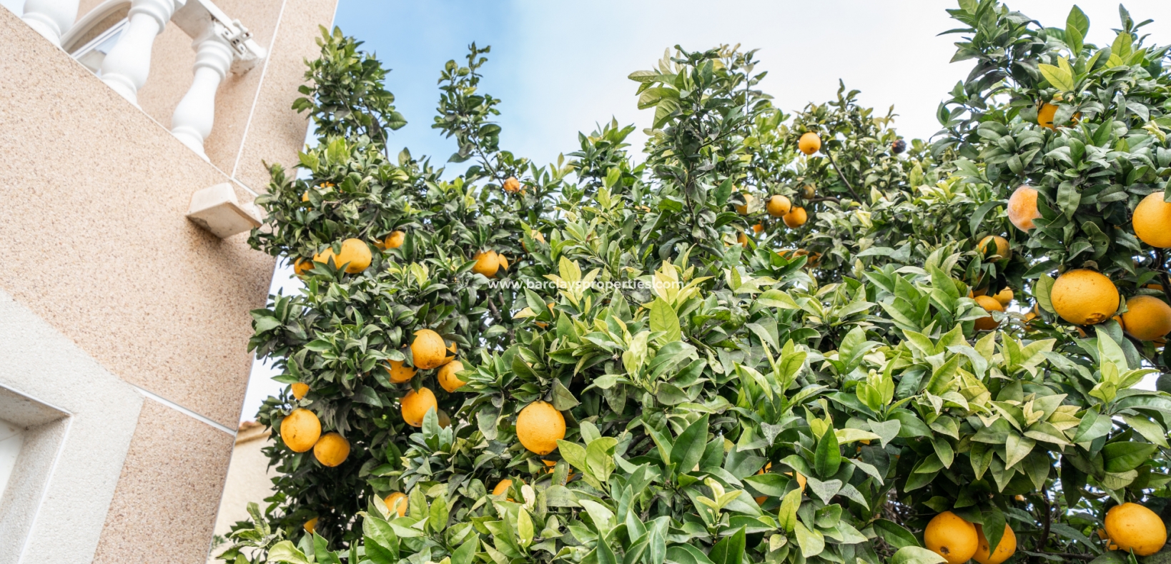 Wederverkoop - Vrijstaande Villa - Urb. La Marina