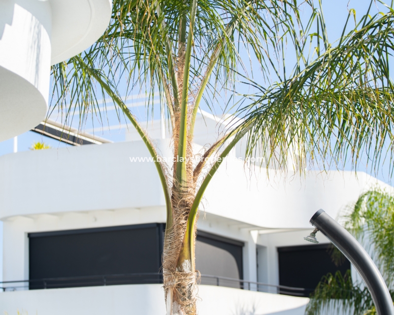 Wederverkoop - Vrijstaande Villa - Urb. La Marina