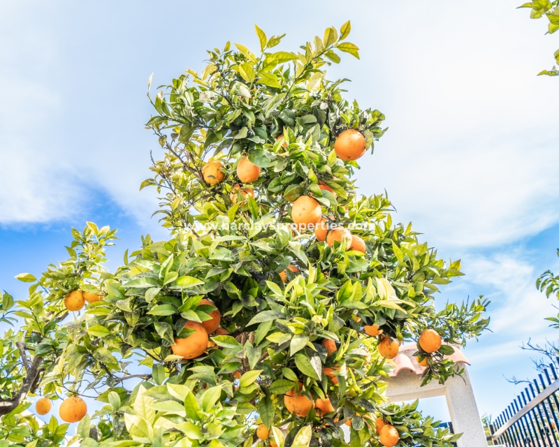 Wederverkoop - Vrijstaande Villa - Urb. La Marina