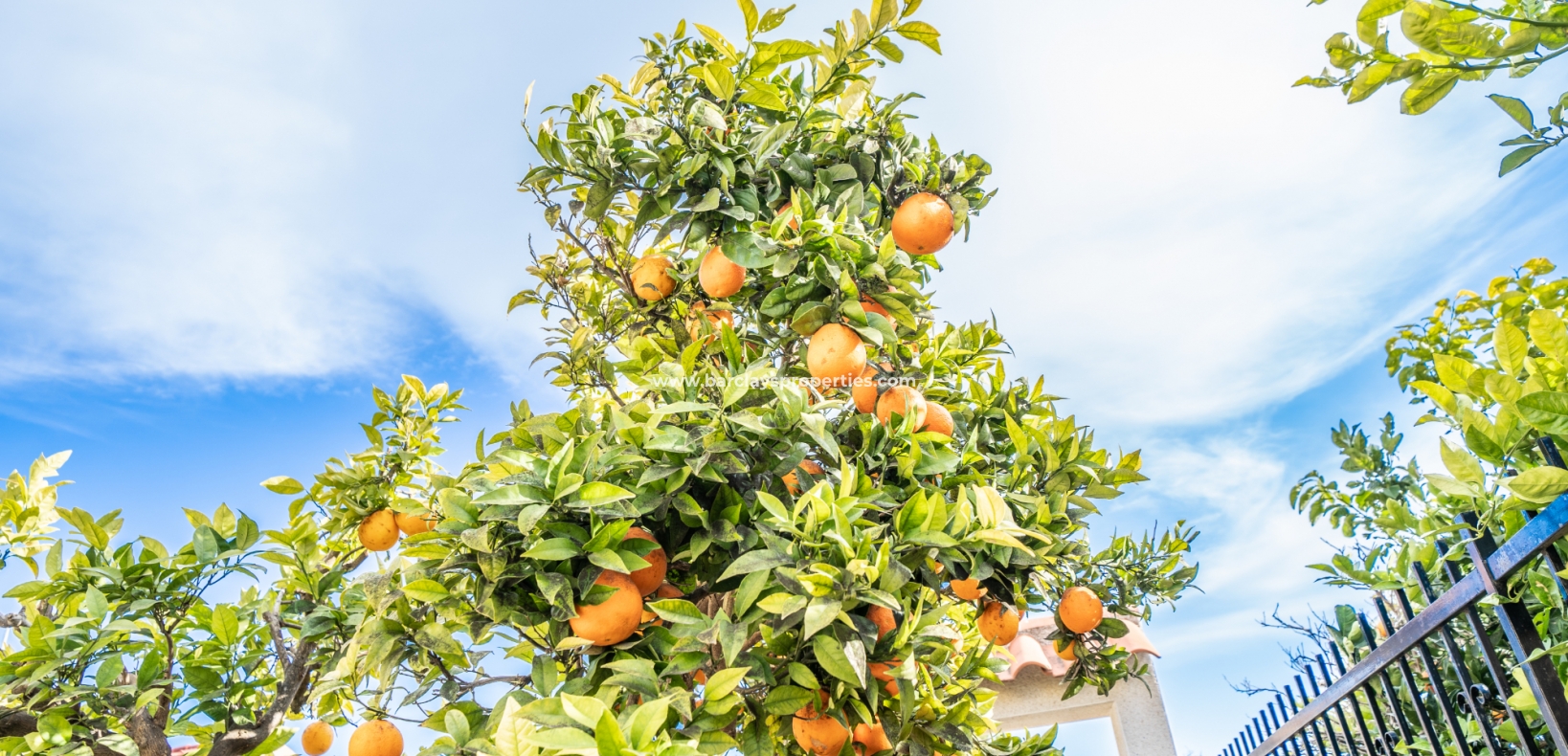 Wederverkoop - Vrijstaande Villa - Urb. La Marina