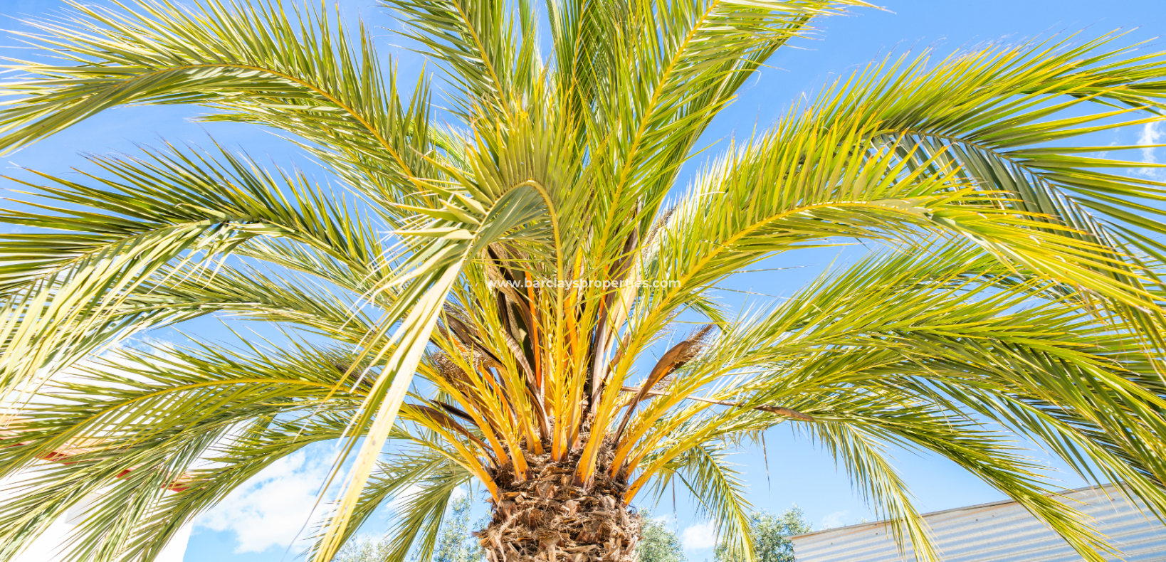 Wederverkoop - Vrijstaande Villa - Urb. La Marina